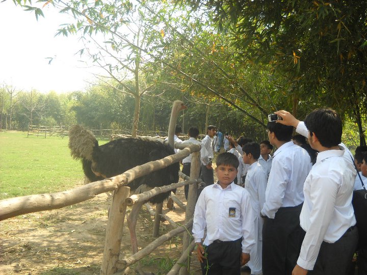 Trip 2010 Dar e Arqam School Nankana